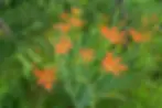22CA9DF9-8C2F-40CA-9B05-69313E1ABEE8.webp