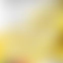 In Haiti, trade schools need to be in the hands of people with scientific notions and knowledge