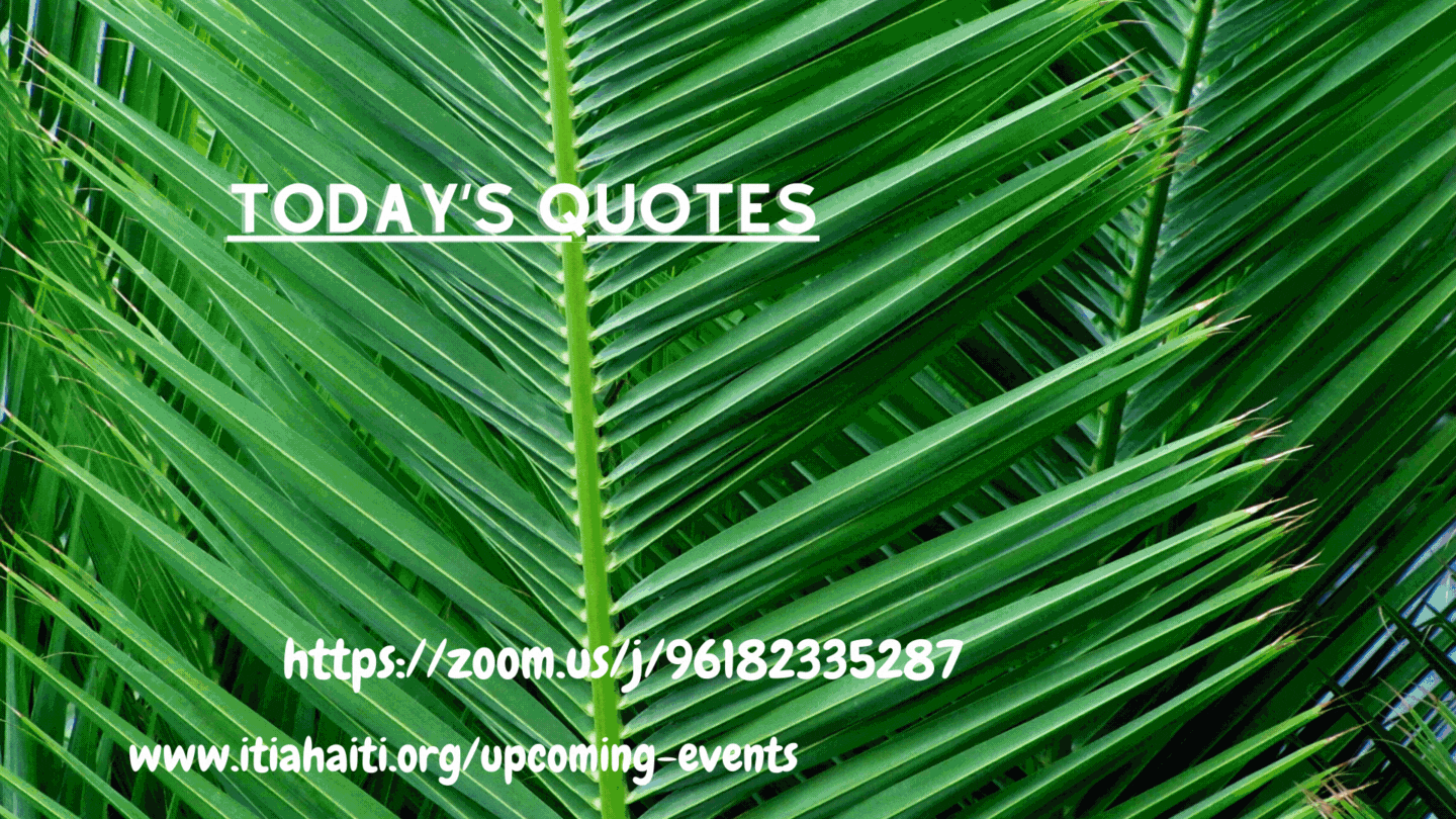 Chak 2èm dimanch: PARABÒL SAVAN - Every 2nd Sunday: TODAY’S QUOTES (3)