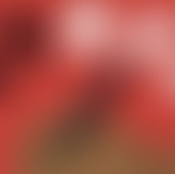 Le Parti Politique ITIYAyiti est reconnu par le Ministère de la Justice et de la Sécurité Publique.