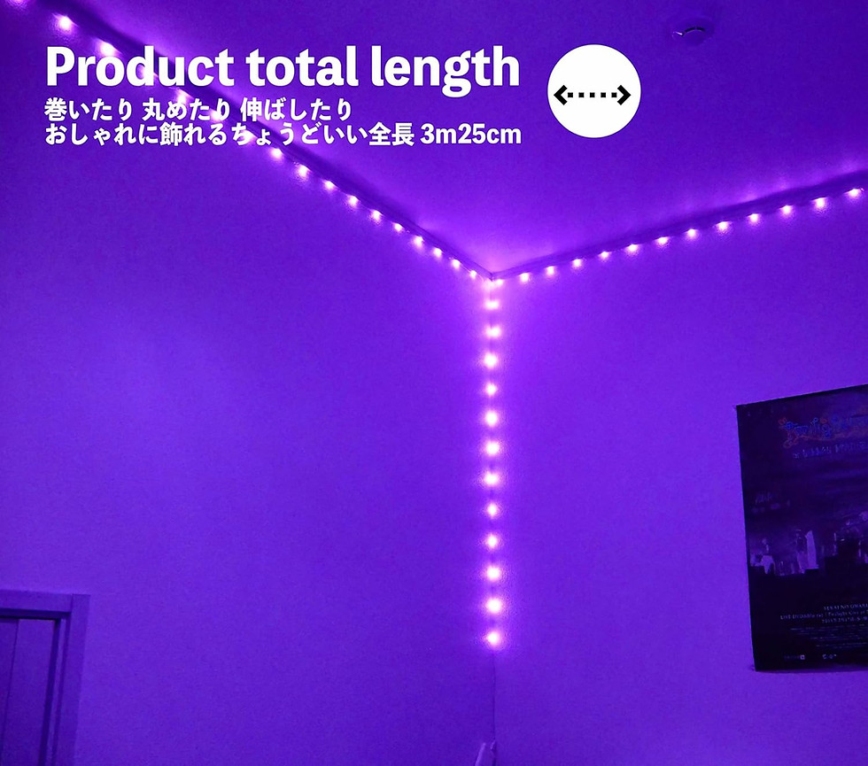 サムネイル： FAIRY LIGHT.パープル