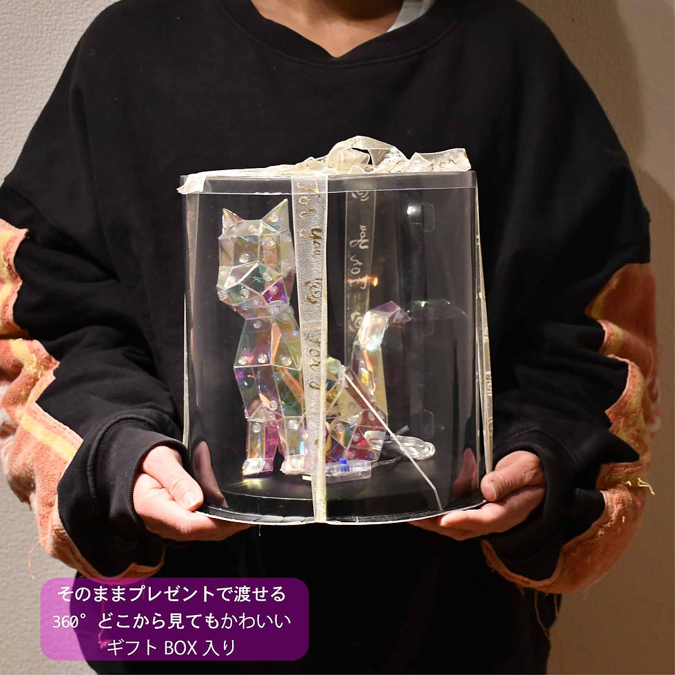 サムネイル： KIRANEKO  キラねこ