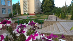 IMG_20200813_083418