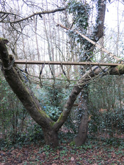 Landschapsatelier Gent - boomgaard