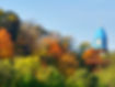 20231018_095431.jpg