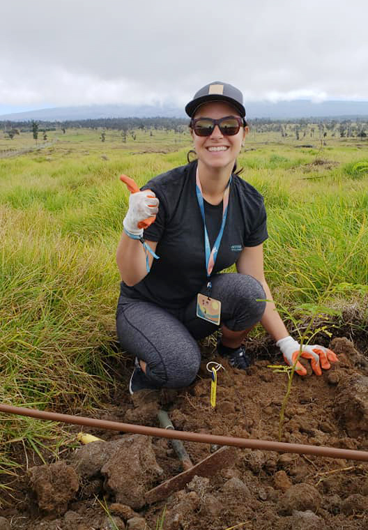 La réserve KMR Kealakekua Mountain Reserve