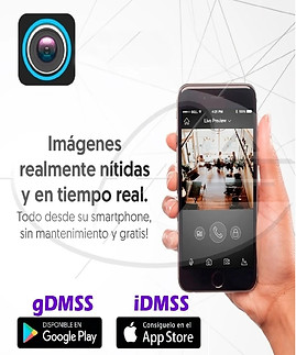 Conexion celular.jpg