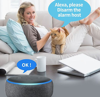 Alexa.jpg