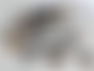 Mafia-Nest im Odenwald ausgehoben