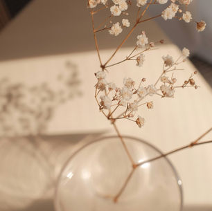 Es geht voran in Corin’s Wohlfühlruum