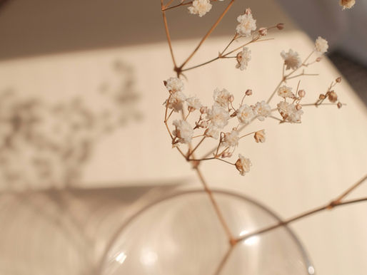 Es geht voran in Corin’s Wohlfühlruum