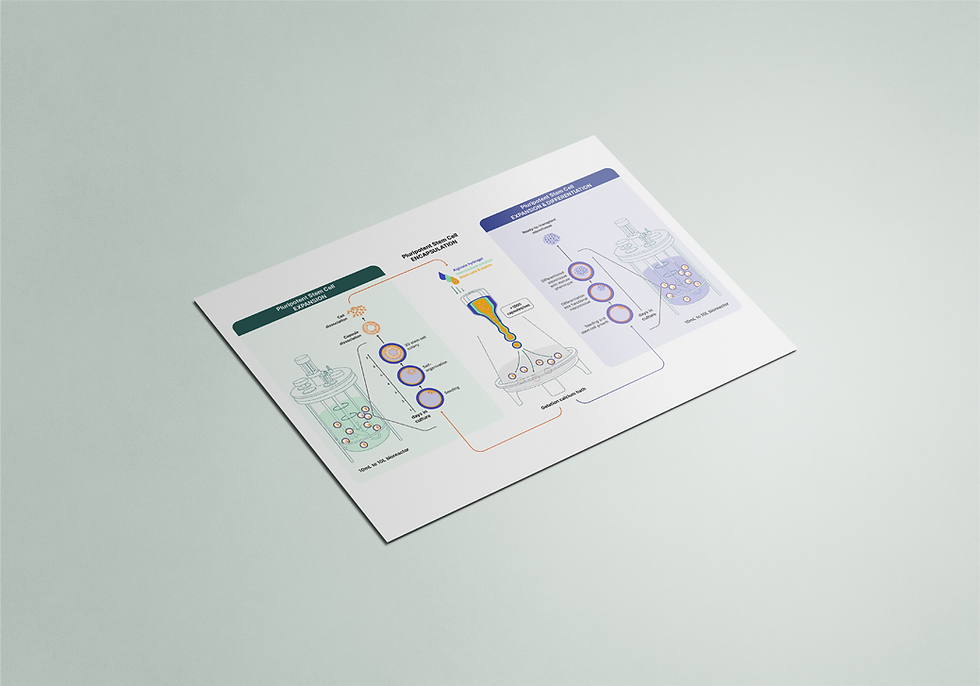 visual design_scientific figures (1).png