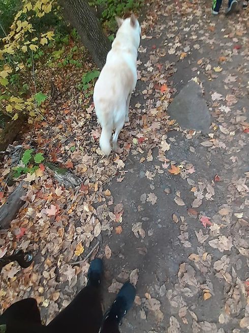 Luna hiking.jpeg