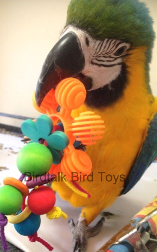 Miniatura: Birdtalk Bird Toys - Dollys Daisey Foot Toy
