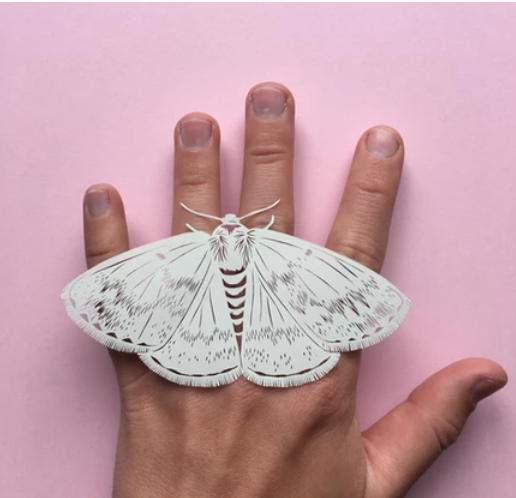 Thumbnail: Elin Price