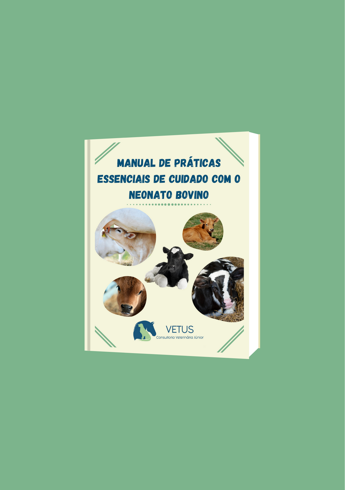 Manual de Práticas Essenciais de Cuidado com o Neonato Bovino