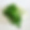 Thumbnail: Broccoli