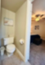 Master Bathroom Toilet Area