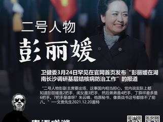 撒旦網軍全群出動：二號人物 彭麗媛。她就是公開侮辱中國人的智商！