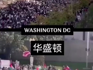 The whole world is demanding Israel to stop killing Palestinians. 