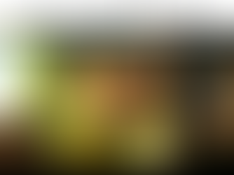 It is not a mistake, it is an unforgivable evil crime!