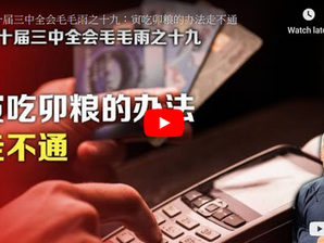 二十届三中全会毛毛雨之十九:寅吃卯粮的办法走不通