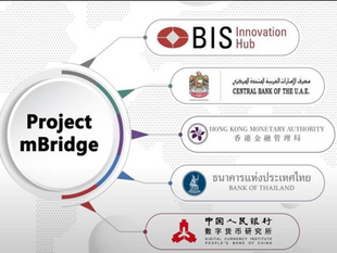 Project mBRIDGE: BRICS, Multi Currency Reality Via New Blockchain Settlement System