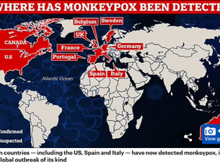 WHO to convene emergency monkeypox meeting amid growing fears about world's outbreak 