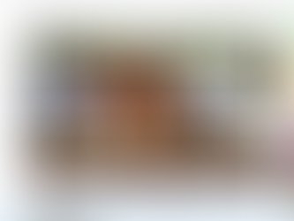 印樂法師是受釋永信委任為白馬寺主持的。撒旦畜生騙子《席近平》主席一早知道釋永信出事,於是偽裝代表正義一方,和印樂法師在白馬寺公開表演!