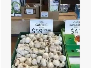 這足以證明吸血鬼是怕大蒜的！