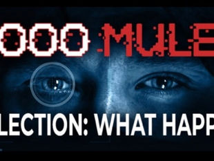 The DNC created a biological weapon to win an election