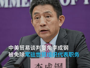 李成鋼剛剛威風凜凜強硬和美國對著幹,現在就被赦免世界貿易組織代表!