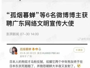 在撒旦媒體眼中,孤烟暮蝉這種撒旦綱軍就的代表文明,我的言論就是沒修養的表現!