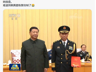 中國共產黨不能夠逮捕一位沒有官銜的領導夫人。大淫婦彭麗媛可能真的走向前台，擔任重要職位！