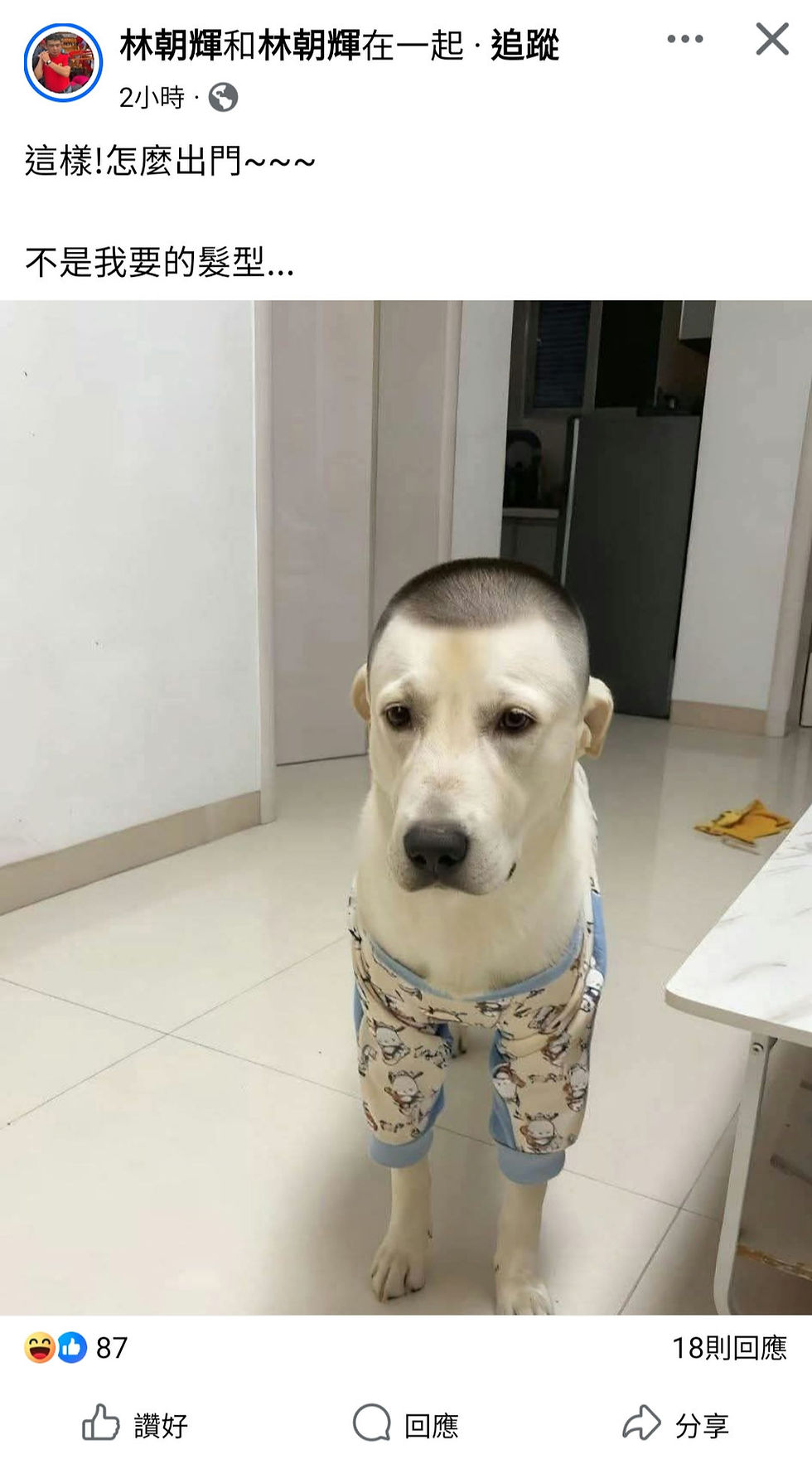 撒旦畜生,漢奸賣國賊,政治騙子《中共中央總書記》《席近平》主席的愛犬!