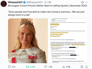 Mette-Marit : "Soon people won't be able to make new humans anymore... We can just design them in a lab"