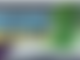 歸根究底就是見識淺薄, 民族自卑心強，自我貶低中華文化！