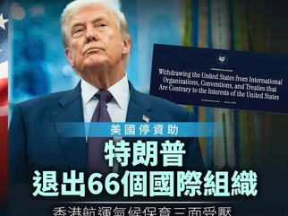 聯合國基本上是一個撒旦恐怖組織！