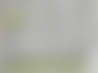 This letter from Klaus Schwab to Rutte has just been made public