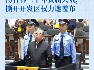 貪汙22億的貪官就立刻判死刑,扮正義,以儆效尤。那些利用虛假航天科技和軍事設備盜取政府經費的竊國賊就是偉大領袖,民族英雄!