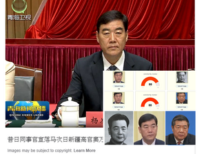 撒旦畜生李鵬的野種，《席近平》主席，馬興瑞的親信楊發森（12！）被中紀委開除黨籍及職位。