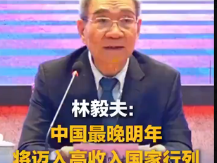 今天中國經濟就是林毅夫這種恬不知恥的撒旦畜生騙子,垃圾經濟學家一手造成的!