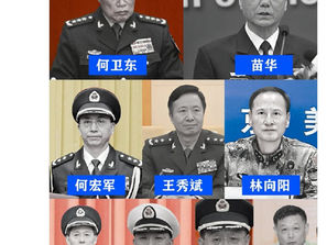 撒旦畜生,漢奸賣國賊,政治騙子《中共中央總書記》《席近平》主席的31軍,全軍覆沒!