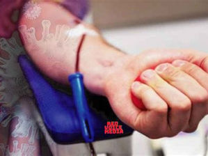 Vaccinated Can’t Donate Blood, COVID Vaccine Wipes Out Antibodies – Red Cross