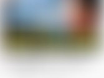 中國撒旦集團發放假消息，出來妖言惑眾