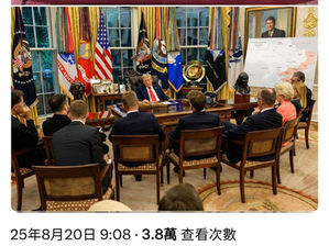 美國總統特朗普就不把歐盟這班撒旦畜生放在眼裡。