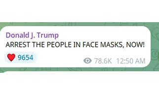 Arrest the People in Face Masks, Now!