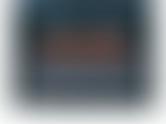 中華人民撒旦國的債務危機是由於依照《席近平》主席的《新時代中國特色社會主義思想》指導下一手造成的。與《習近平總書記》無關。