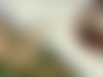 上帝的安排天衣無縫!絕對不是巧合!