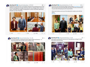 撒旦野豬，漢奸賣國賊王毅高舉《總書記》的旗幟來凸顯自己在外交部的領導地位，可惜毛寧完全不放他在眼內。